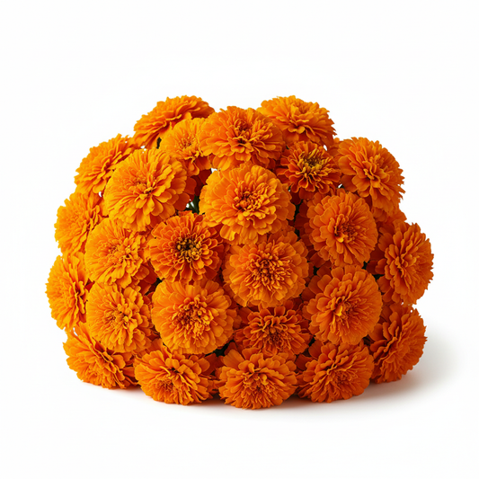 Orange marigold flowers