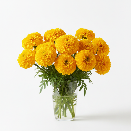 Yellow marigold flowers
